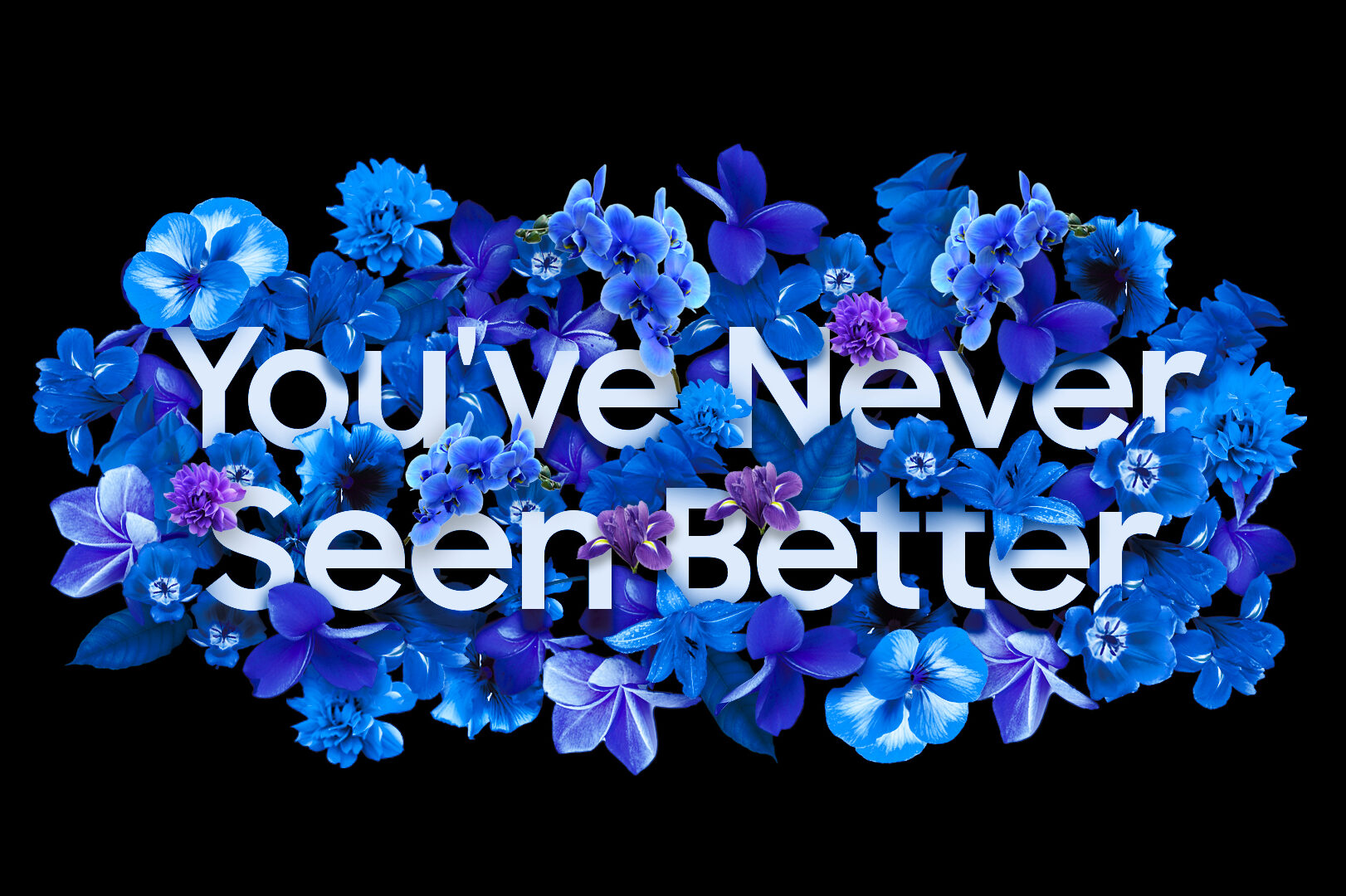 YNSB_ExtraFlowers_Black