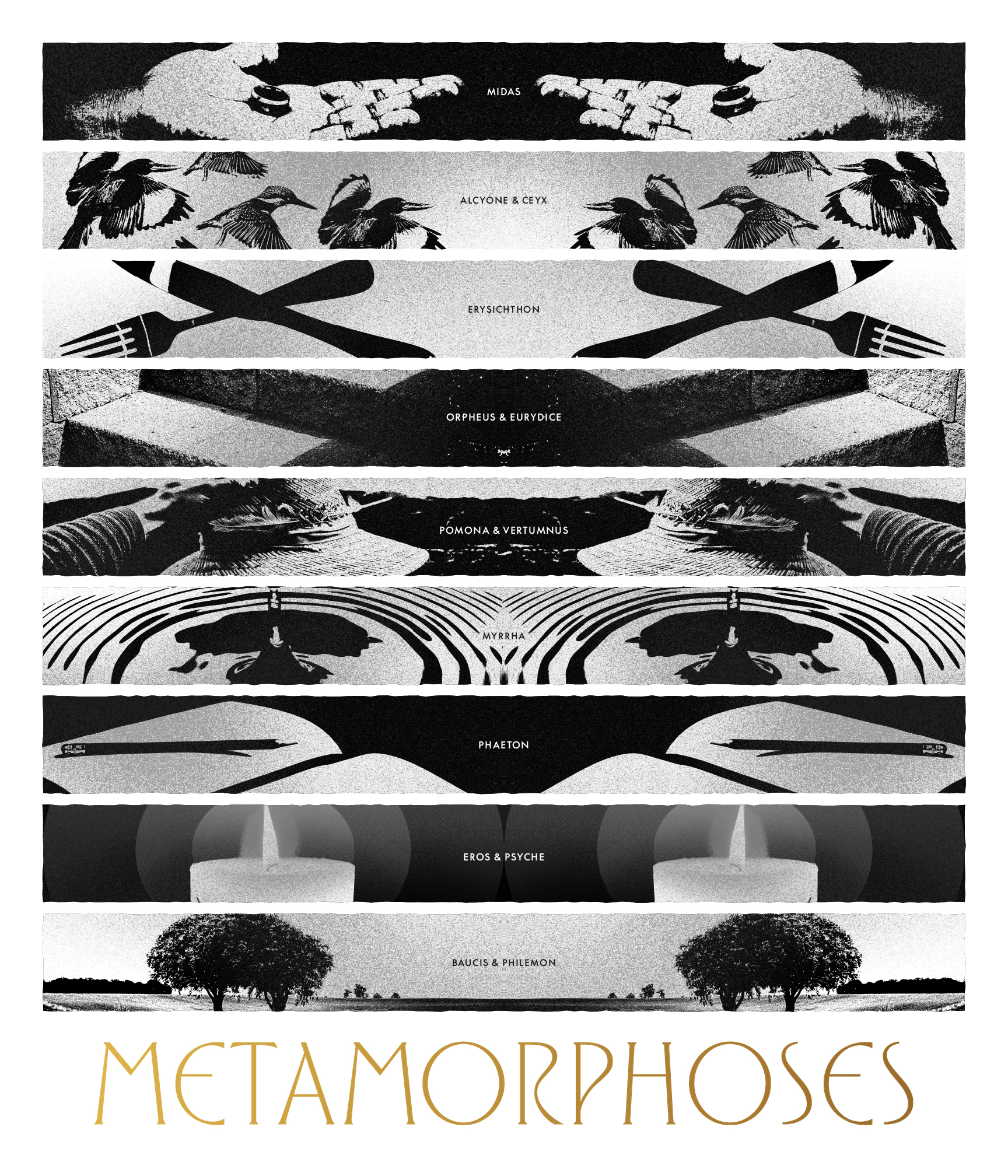 Metamorphoses